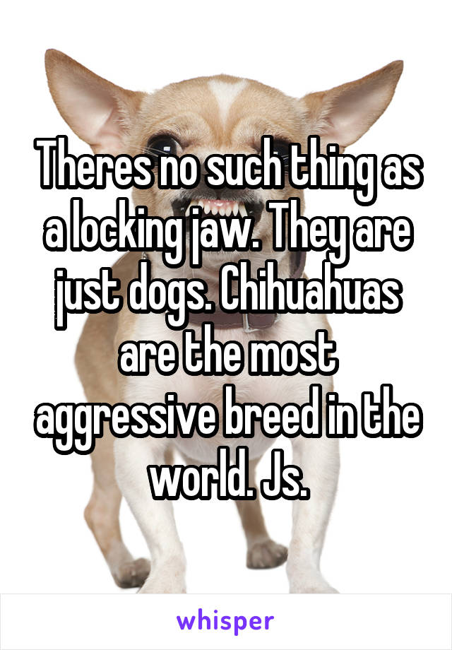 Theres no such thing as a locking jaw. They are just dogs. Chihuahuas are the most aggressive breed in the world. Js.