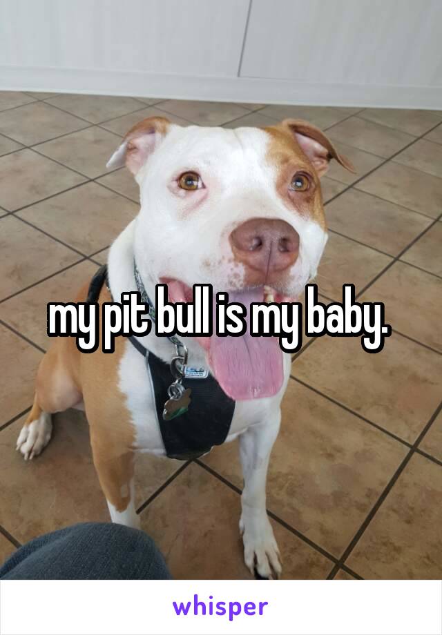 my pit bull is my baby. 