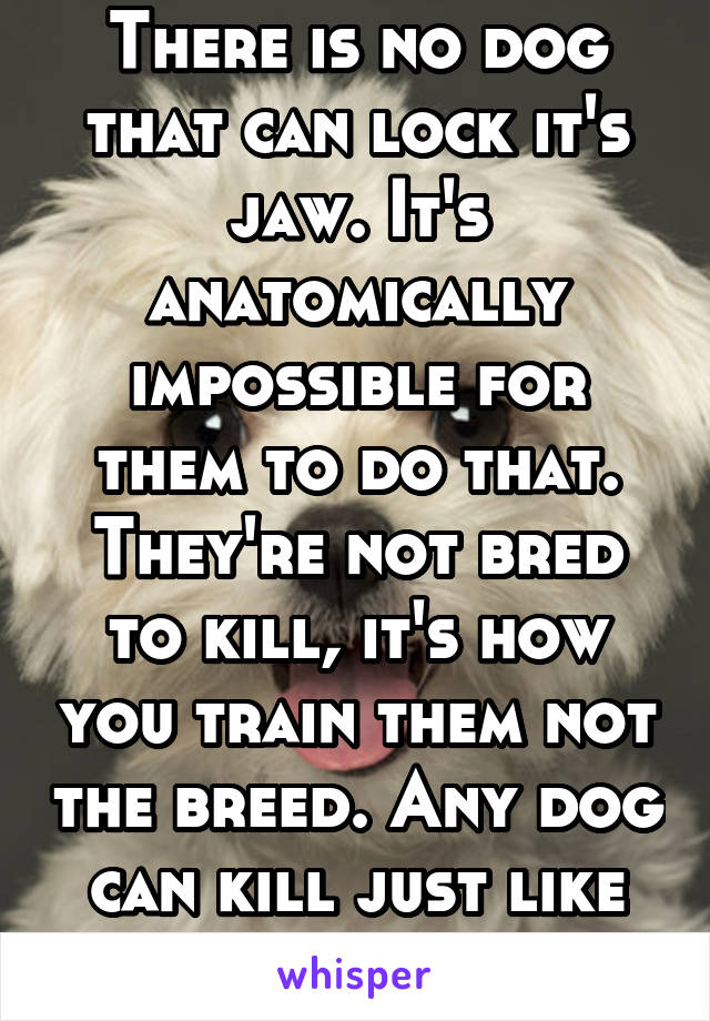 There is no dog that can lock it's jaw. It's anatomically impossible for them to do that. They're not bred to kill, it's how you train them not the breed. Any dog can kill just like any human can 