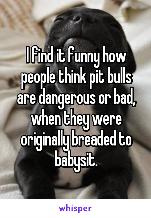 I find it funny how people think pit bulls are dangerous or bad, when they were originally breaded to babysit.