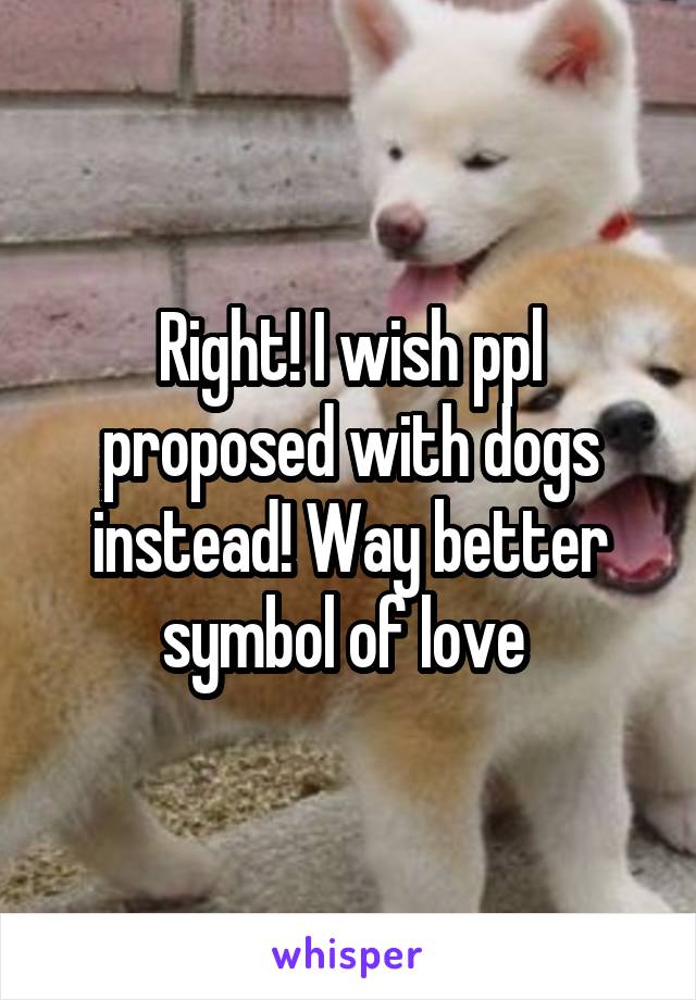 Right! I wish ppl proposed with dogs instead! Way better symbol of love 