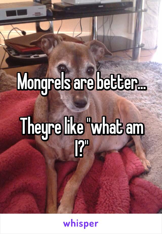 Mongrels are better...

Theyre like "what am I?"