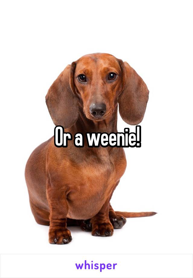 Or a weenie!