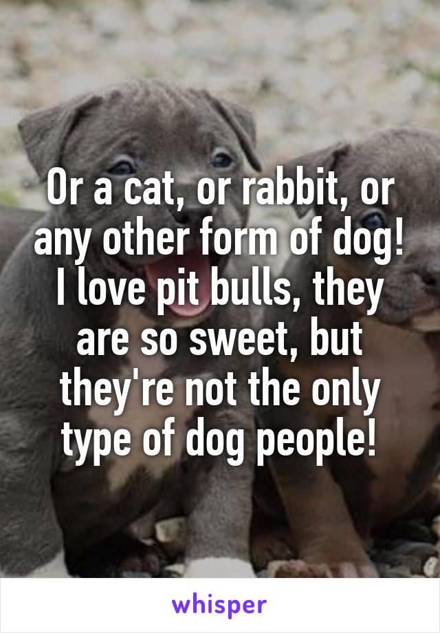 Or a cat, or rabbit, or any other form of dog! I love pit bulls, they are so sweet, but they're not the only type of dog people!