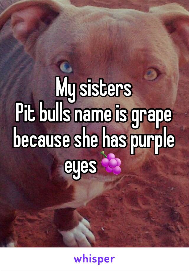 My sisters 
Pit bulls name is grape because she has purple eyes🍇
