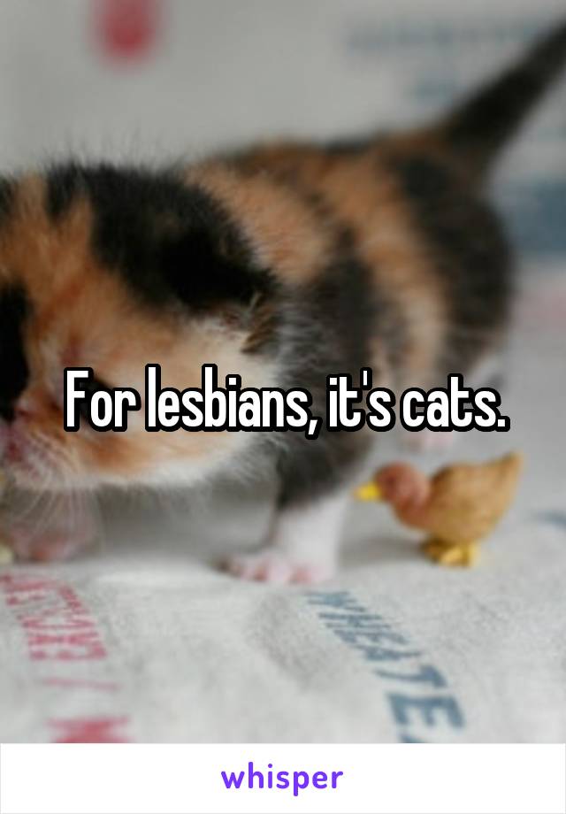 For lesbians, it's cats.