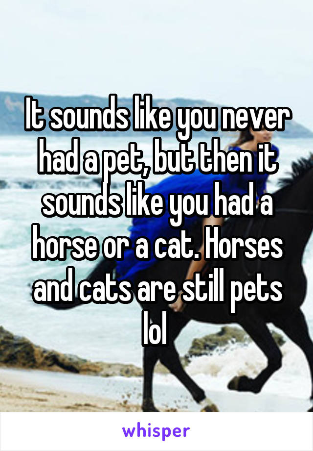 It sounds like you never had a pet, but then it sounds like you had a horse or a cat. Horses and cats are still pets lol 