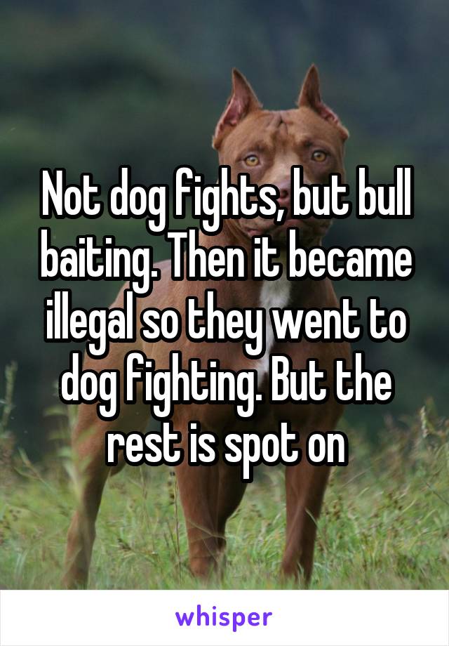 Not dog fights, but bull baiting. Then it became illegal so they went to dog fighting. But the rest is spot on