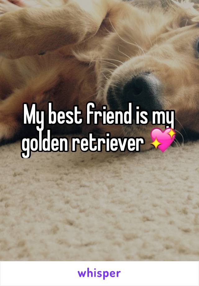 My best friend is my golden retriever 💖
