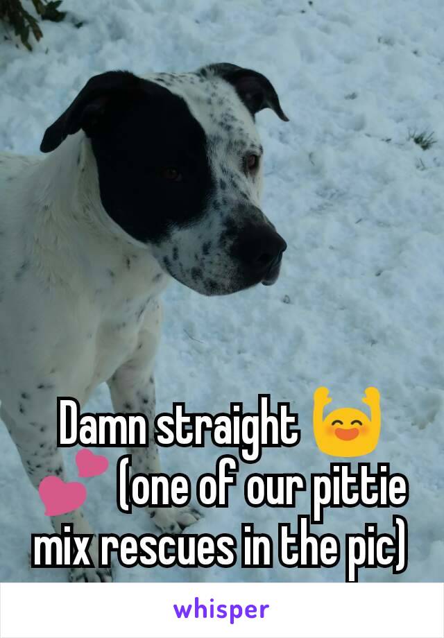 Damn straight 🙌💕 (one of our pittie mix rescues in the pic)