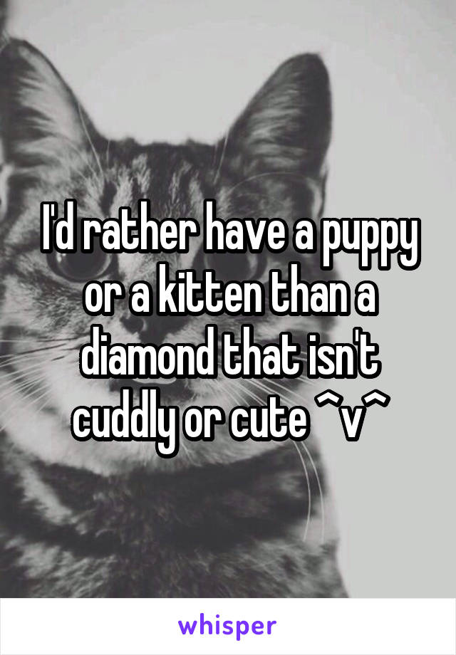I'd rather have a puppy or a kitten than a diamond that isn't cuddly or cute ^v^