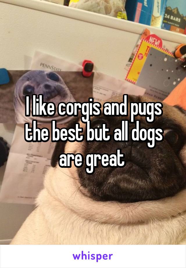 I like corgis and pugs the best but all dogs are great 