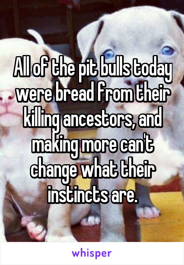 All of the pit bulls today were bread from their killing ancestors, and making more can't change what their instincts are.