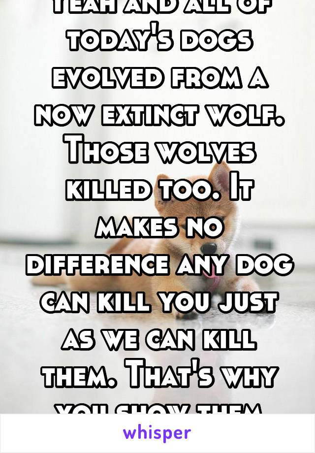 Yeah and all of today's dogs evolved from a now extinct wolf. Those wolves killed too. It makes no difference any dog can kill you just as we can kill them. That's why you show them respect