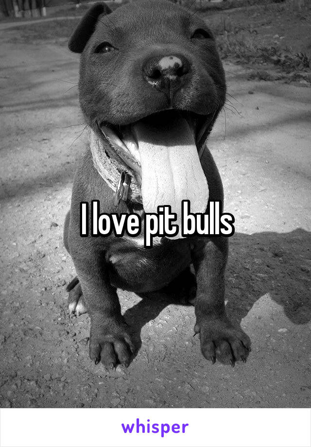 I love pit bulls