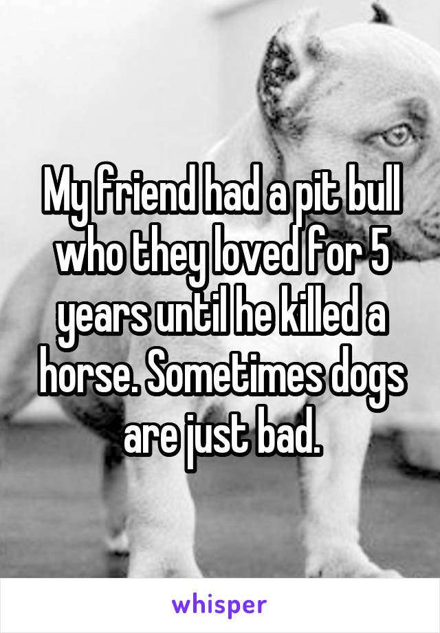 My friend had a pit bull who they loved for 5 years until he killed a horse. Sometimes dogs are just bad.