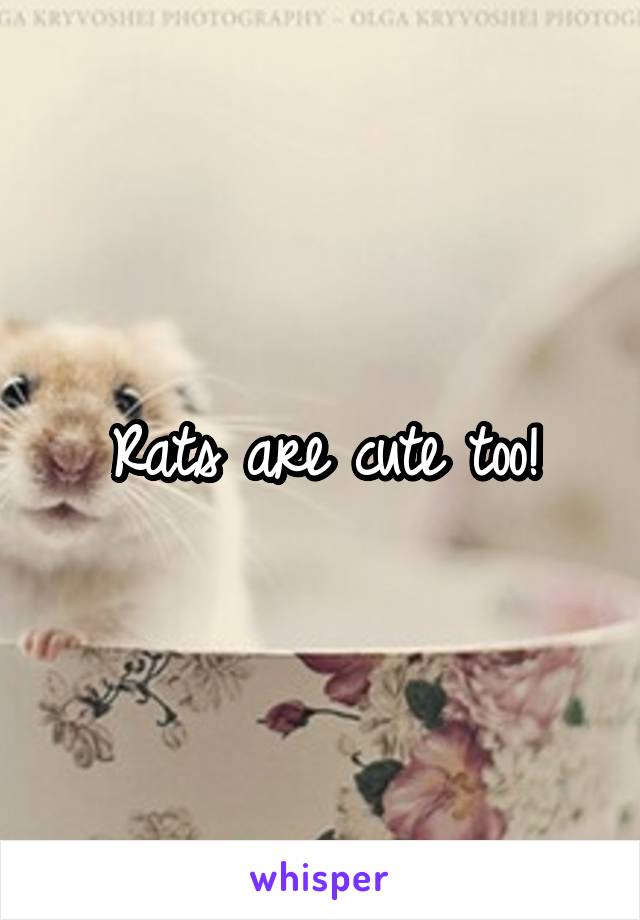 Rats are cute too!