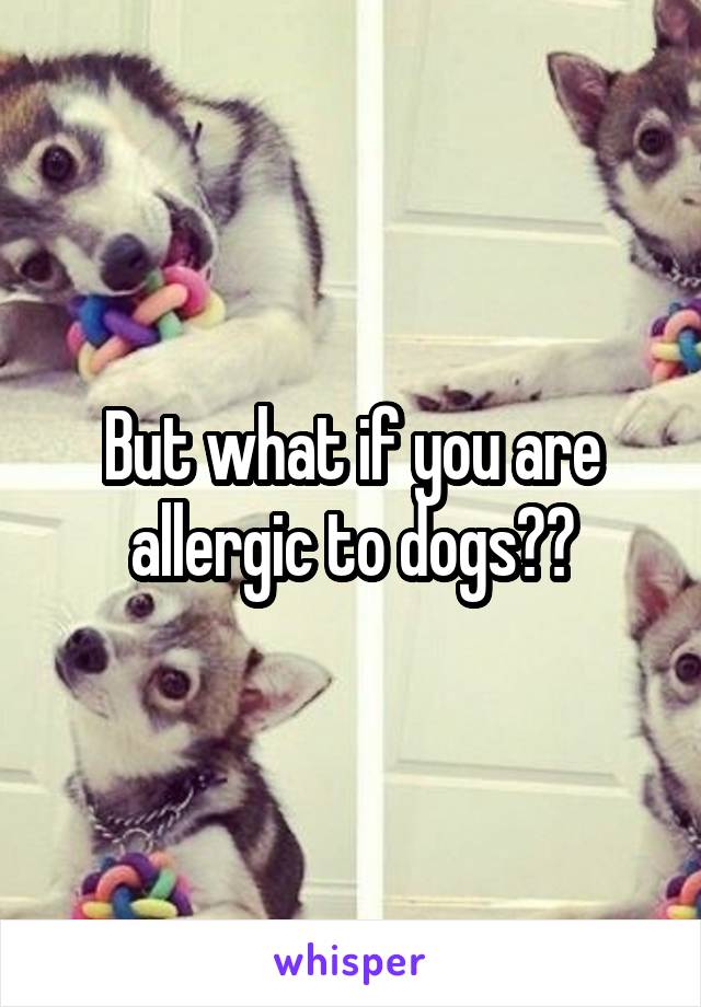 But what if you are allergic to dogs??