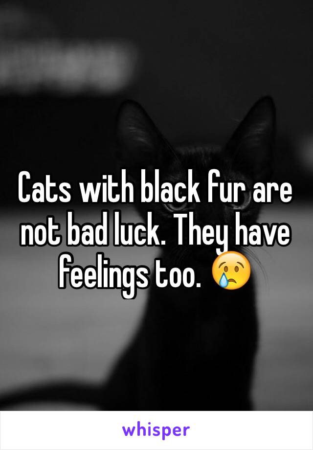 Cats with black fur are not bad luck. They have feelings too. 😢