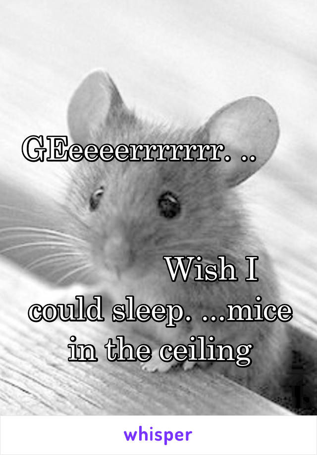                           GEeeeerrrrrrr. ..                                                                                     Wish I could sleep. ...mice in the ceiling