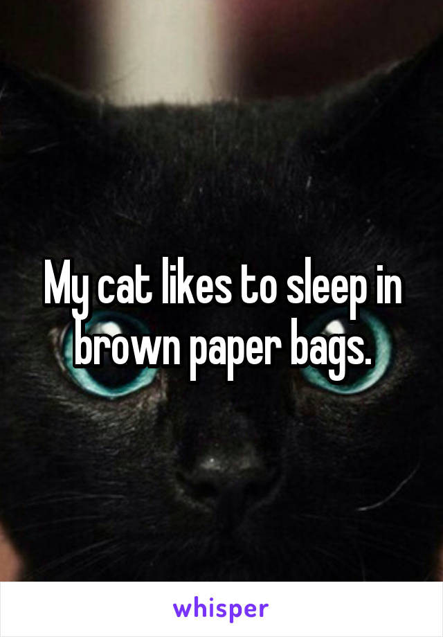 My cat likes to sleep in brown paper bags.