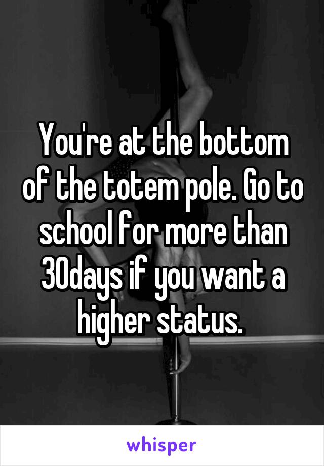 You're at the bottom of the totem pole. Go to school for more than 30days if you want a higher status. 