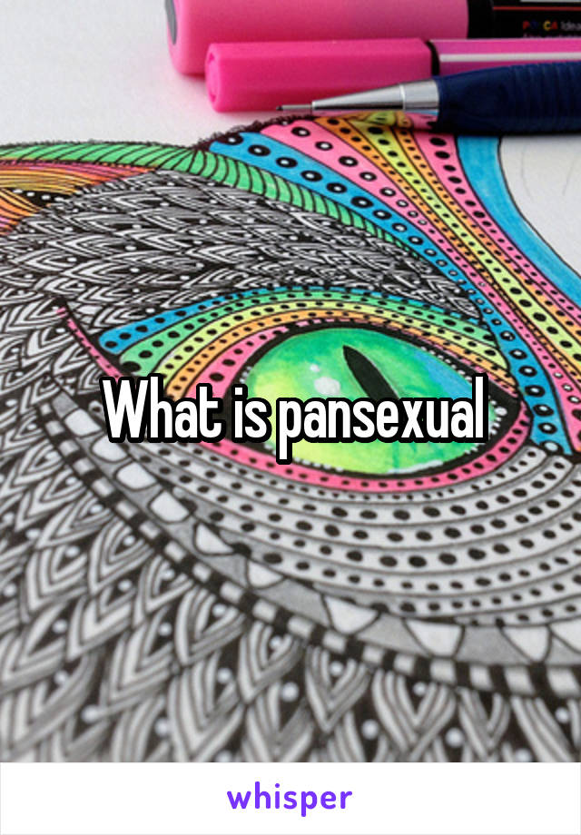 What is pansexual