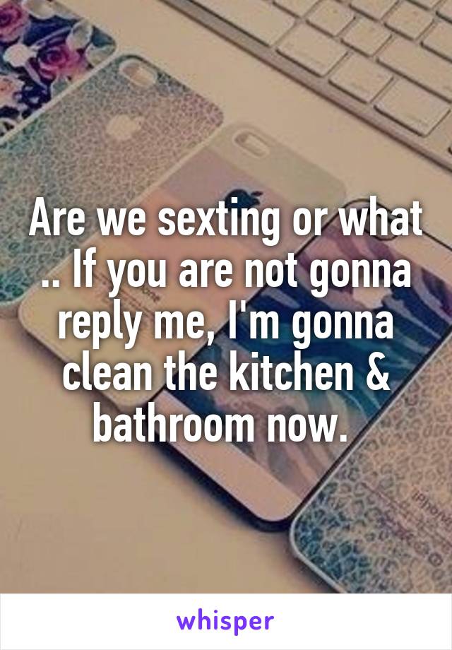 Are we sexting or what .. If you are not gonna reply me, I'm gonna clean the kitchen & bathroom now. 