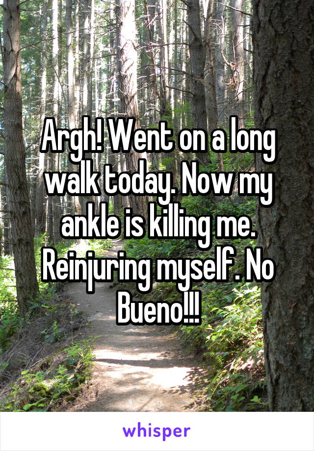 Argh! Went on a long walk today. Now my ankle is killing me. Reinjuring myself. No Bueno!!!