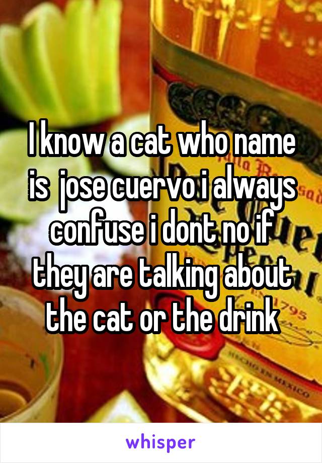 I know a cat who name is  jose cuervo i always confuse i dont no if they are talking about the cat or the drink