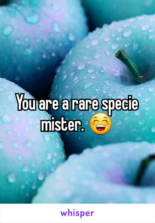 You are a rare specie mister. 😁