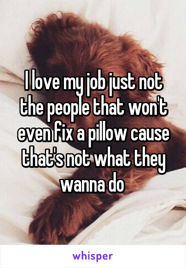 I love my job just not the people that won't even fix a pillow cause that's not what they wanna do 