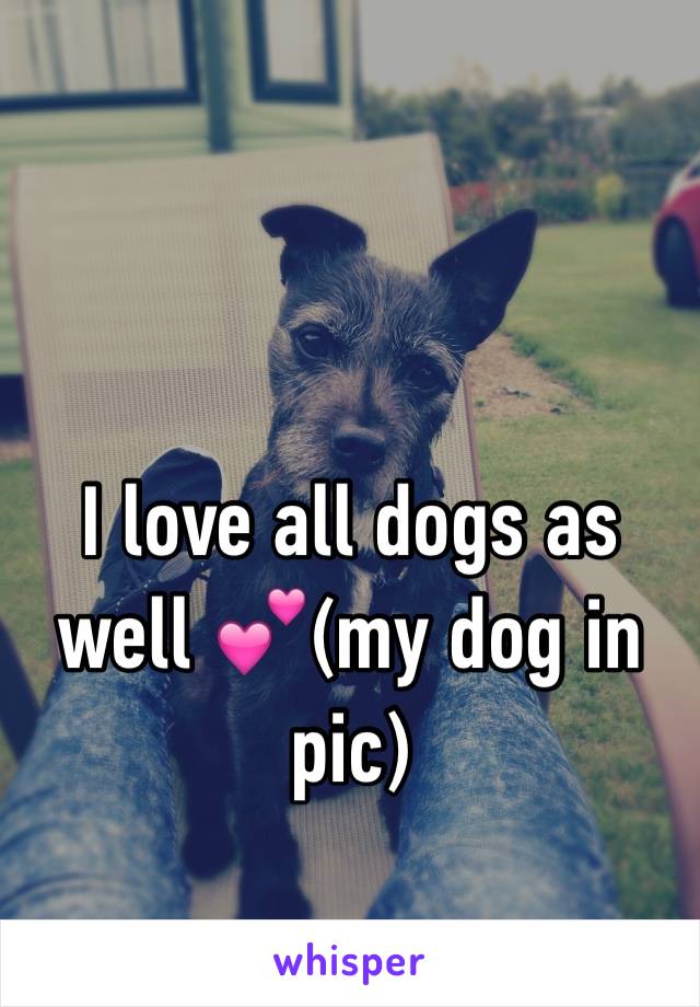 I love all dogs as well 💕(my dog in pic)