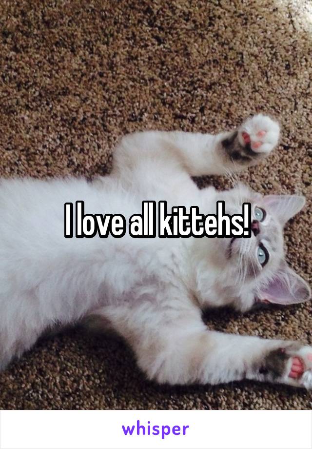 I love all kittehs!
