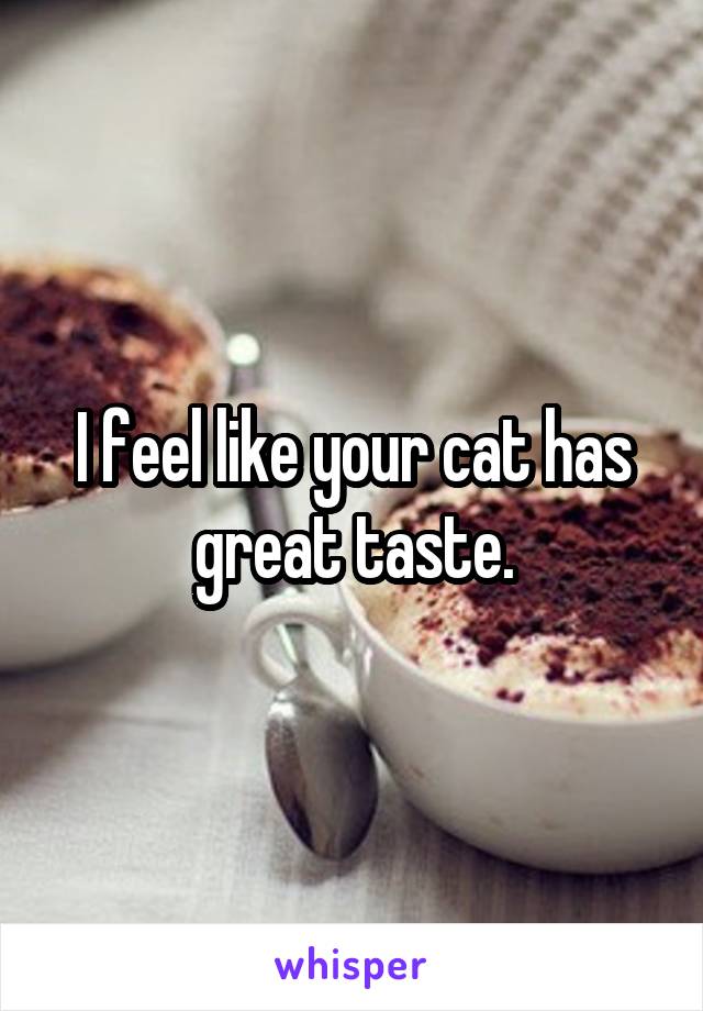 I feel like your cat has great taste.