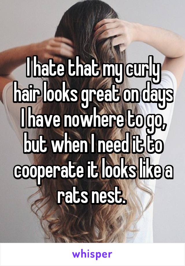 I hate that my curly hair looks great on days I have nowhere to go, but when I need it to cooperate it looks like a rats nest. 