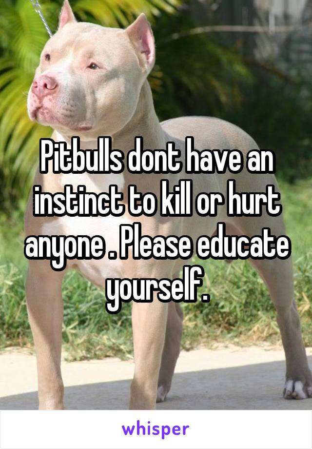 Pitbulls dont have an instinct to kill or hurt anyone . Please educate yourself.