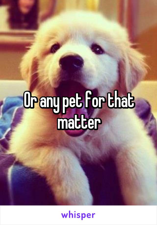 Or any pet for that matter