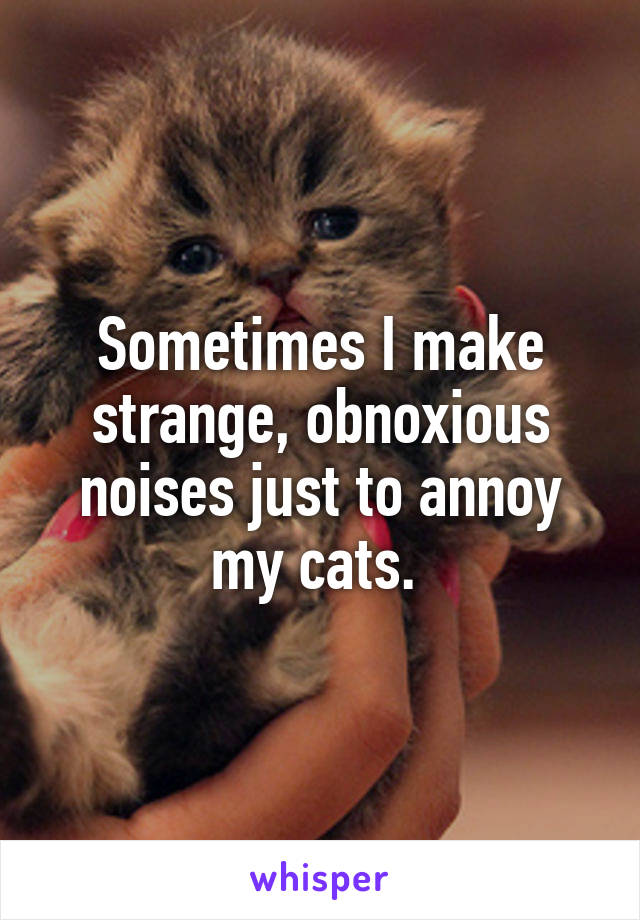 Sometimes I make strange, obnoxious noises just to annoy my cats. 