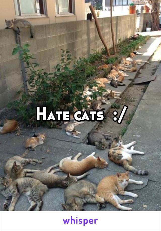 Hate cats  :/