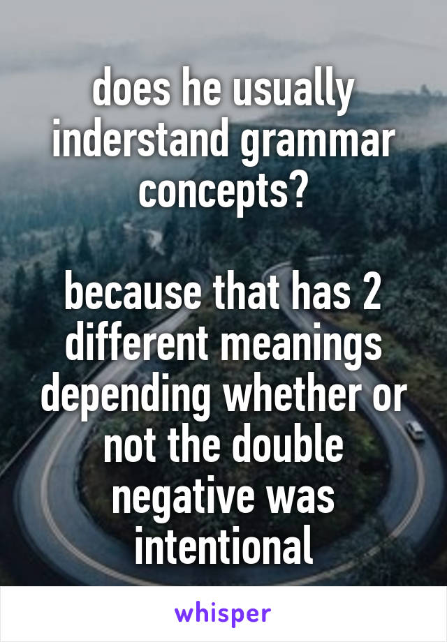 does he usually inderstand grammar concepts?

because that has 2 different meanings depending whether or not the double negative was intentional