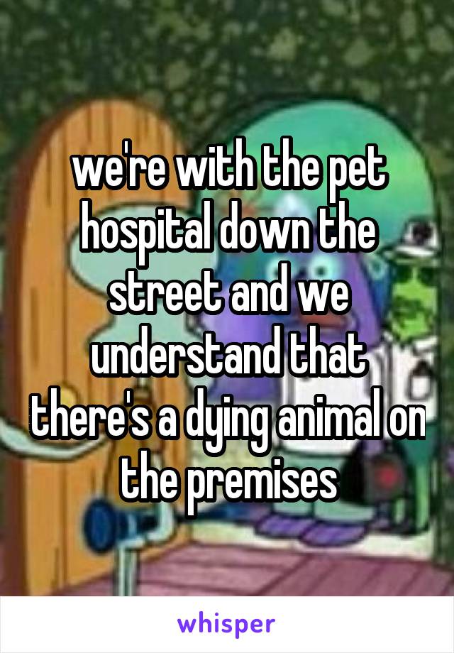 we're with the pet hospital down the street and we understand that there's a dying animal on the premises