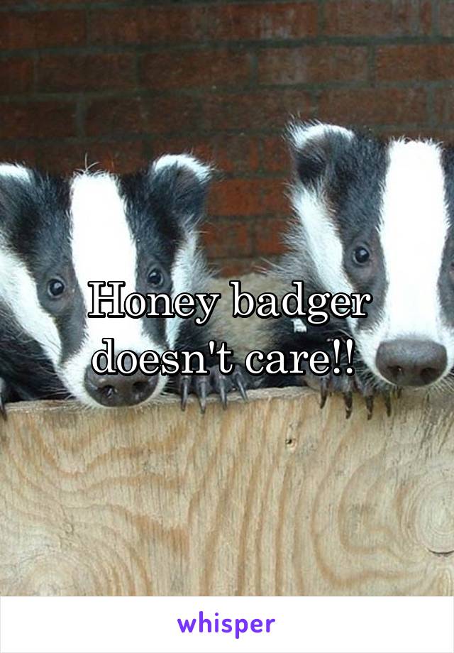 Honey badger doesn't care!! 