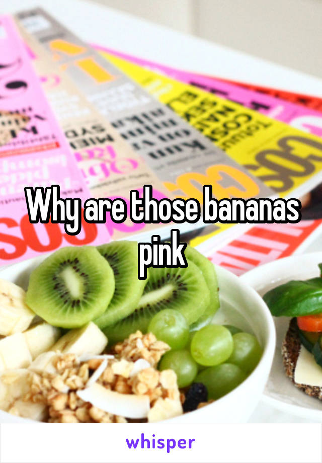 Why are those bananas pink