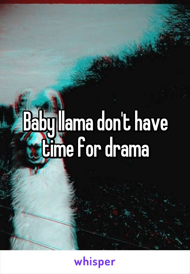 Baby llama don't have time for drama