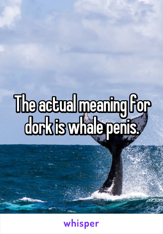 The actual meaning for dork is whale penis.