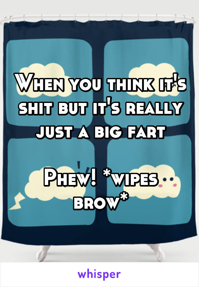 When you think it's shit but it's really just a big fart

Phew! *wipes brow*