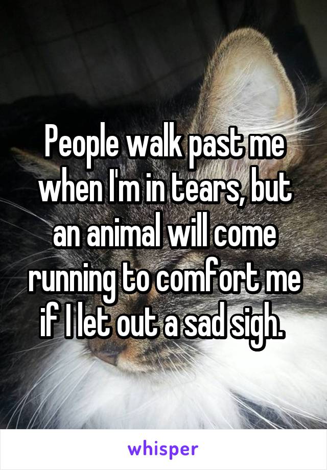 People walk past me when I'm in tears, but an animal will come running to comfort me if I let out a sad sigh. 