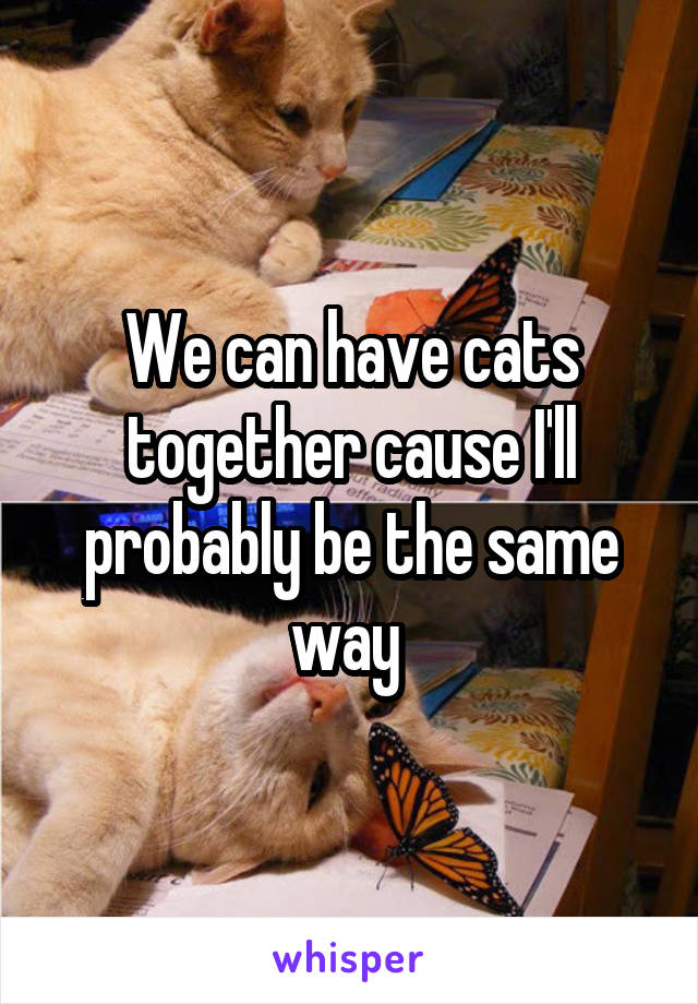 We can have cats together cause I'll probably be the same way 