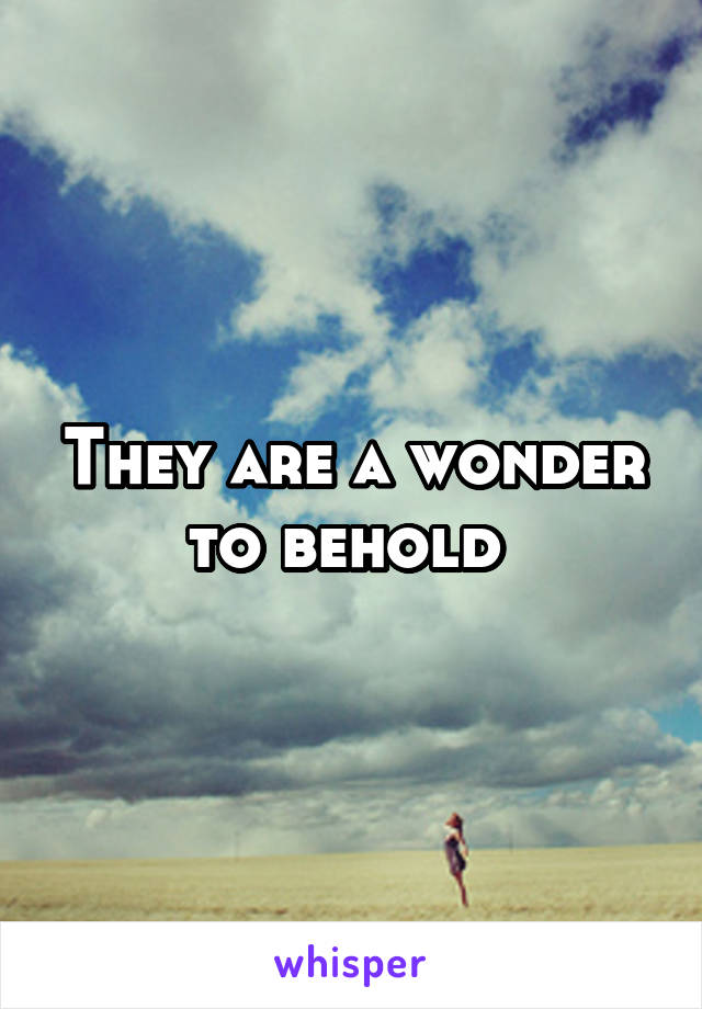 They are a wonder to behold 